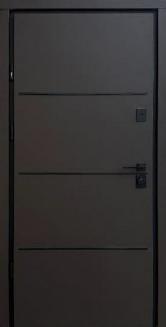 Вхідні двері Straj Berez PARTY D 870 мм вулиця