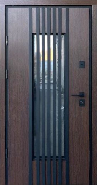 Вхідні двері Straj Berez Street Plus REGOLA 970 мм вулиця