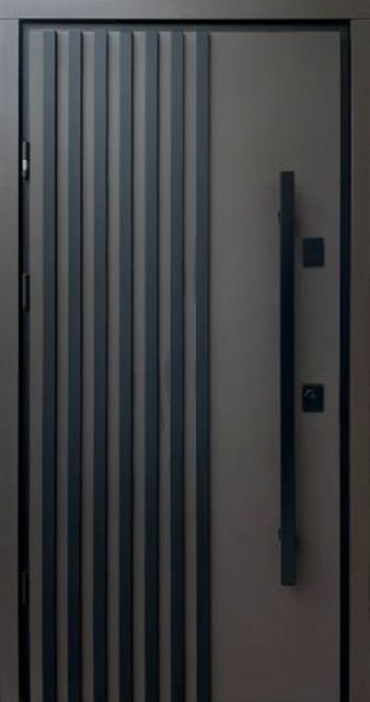 Вхідні двері Straj Berez LOFT Ral 8019 глухі 870 мм вулиця